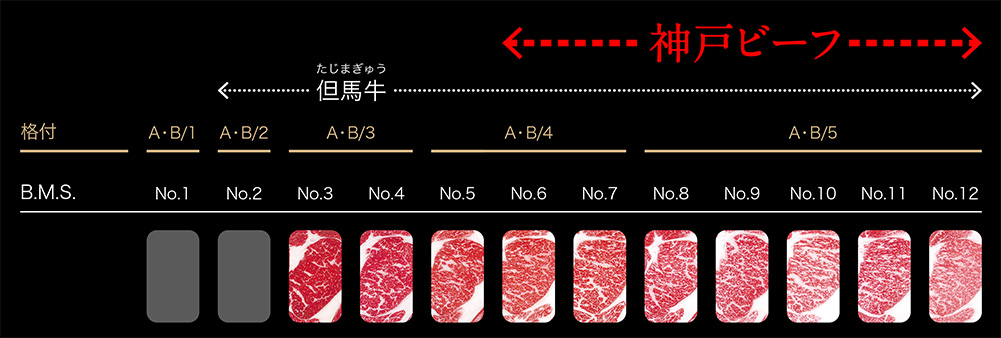 神戸牛は、歩留等級がA・B等級、肉質等級が4以上、BMS値が、No.6からNo.12、枝肉の重量が規定内であることが規定とされています。